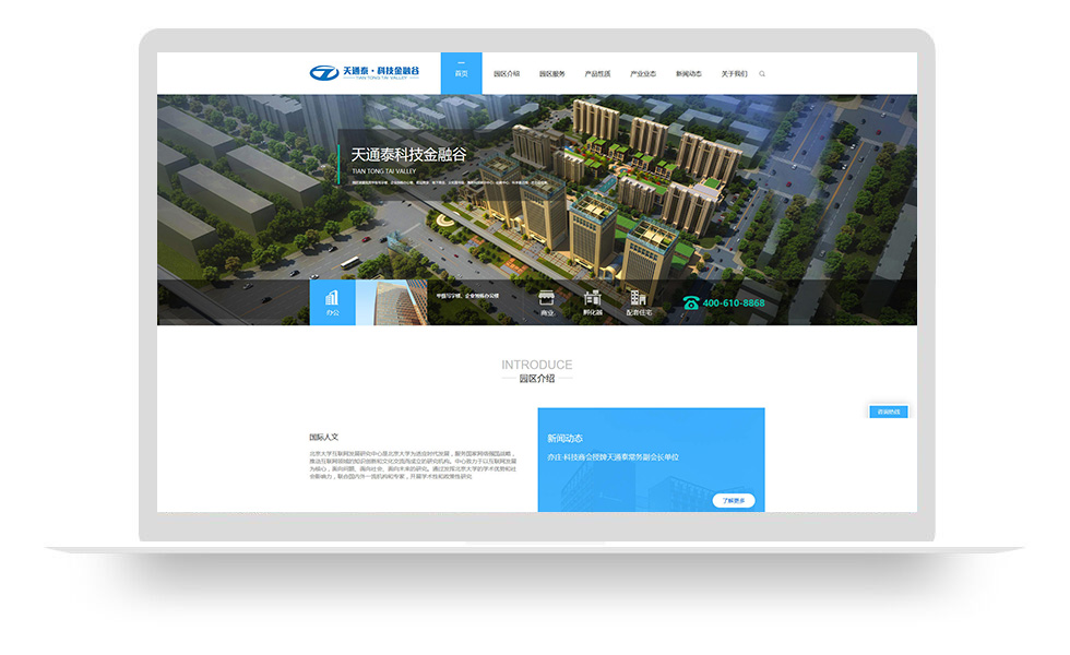天通泰科技金融谷网站建设项目